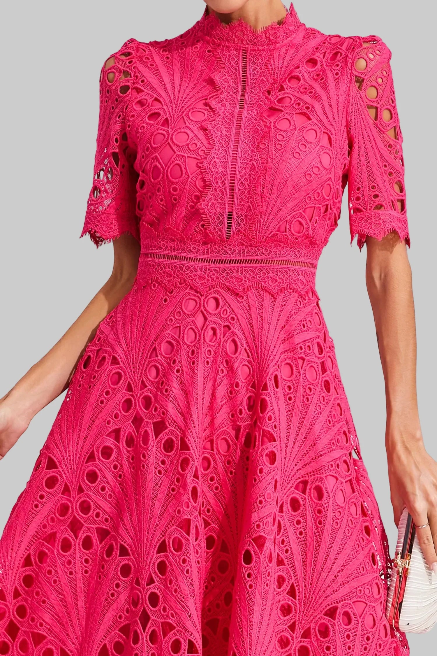 Stylish Lace Dress with High Neck and A-Line Skirt