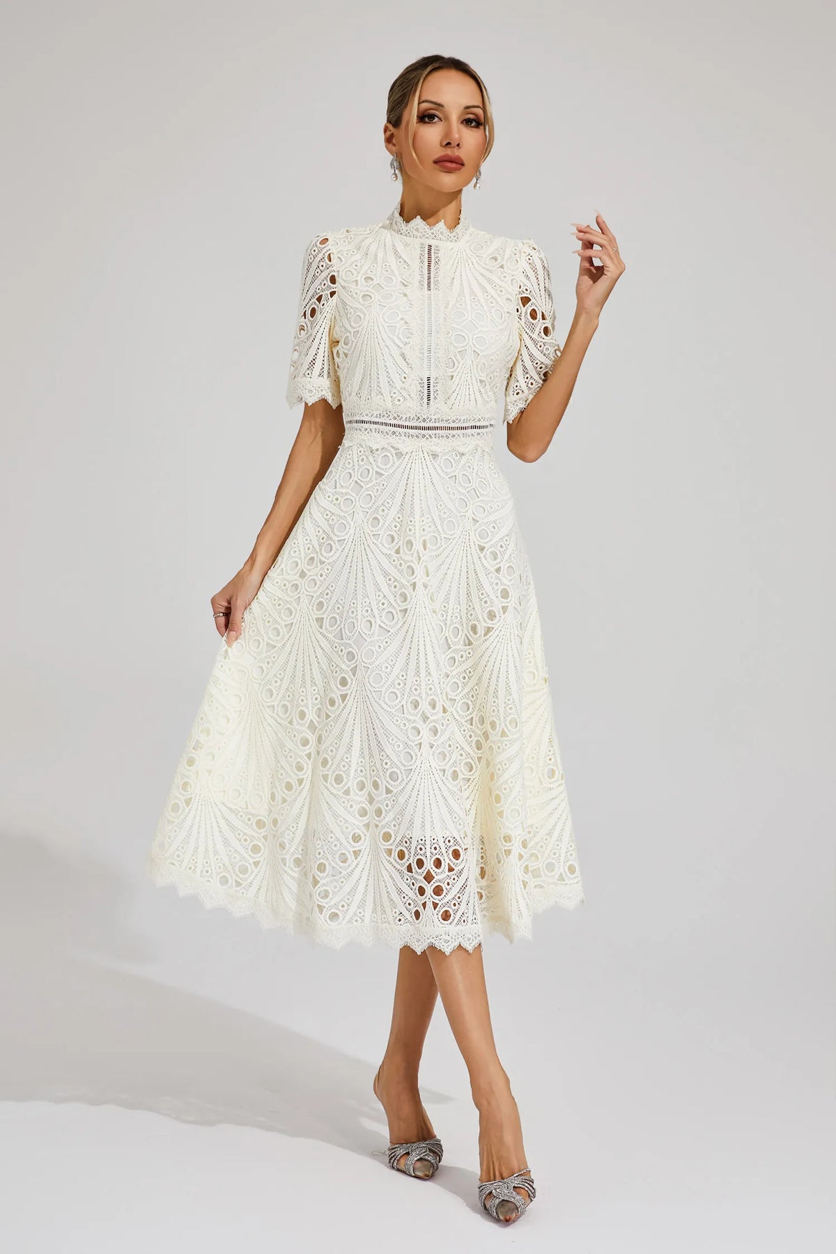 Stylish Lace Dress with High Neck and A-Line Skirt