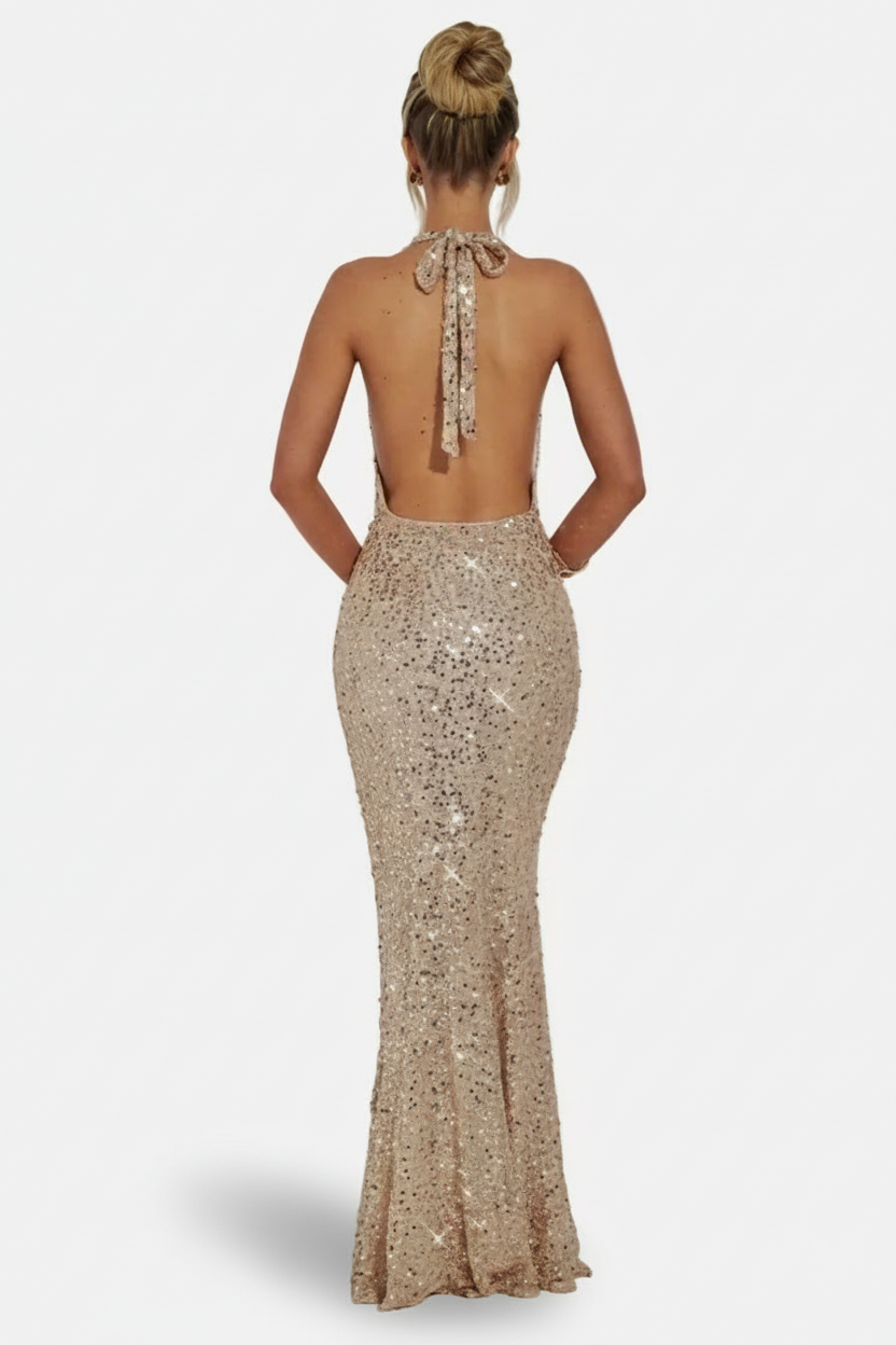 Fitted Tie Halter Neck Maxi Dress