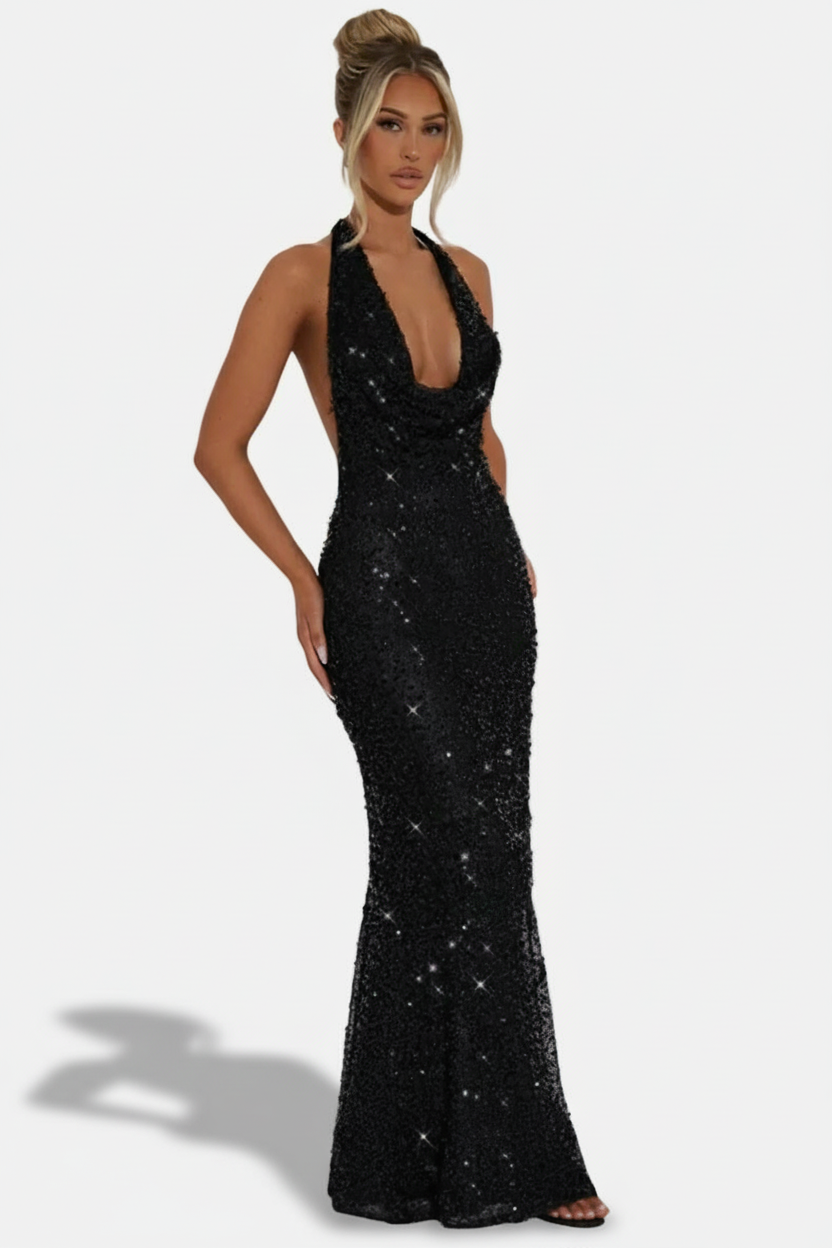 Fitted Tie Halter Neck Maxi Dress